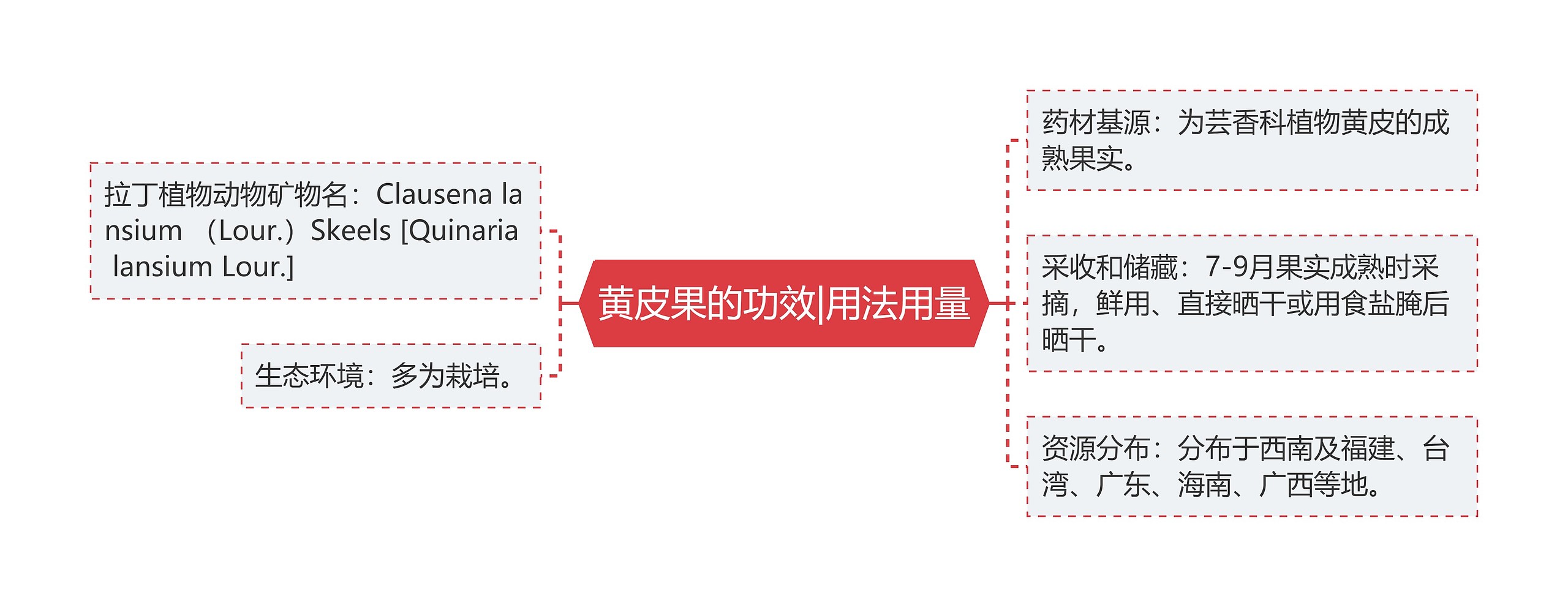 黄皮果的功效|用法用量思维导图