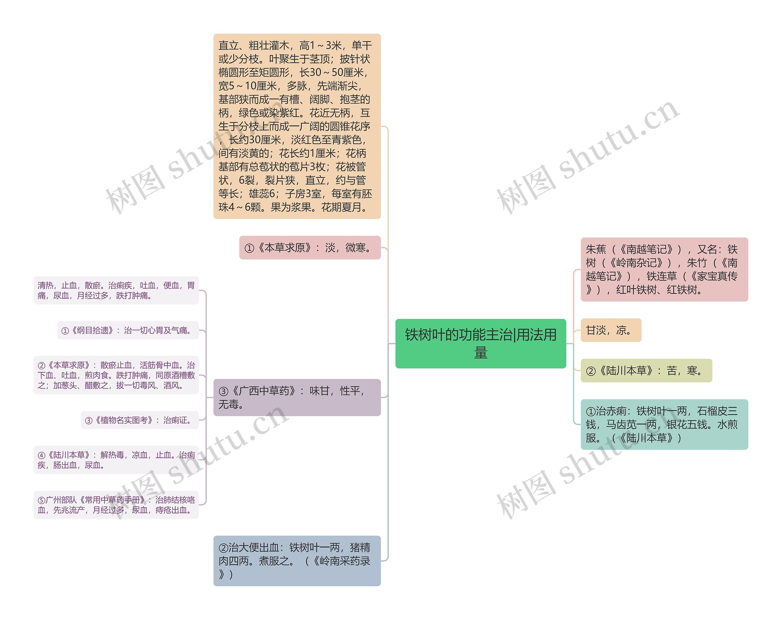 铁树叶的功能主治|用法用量