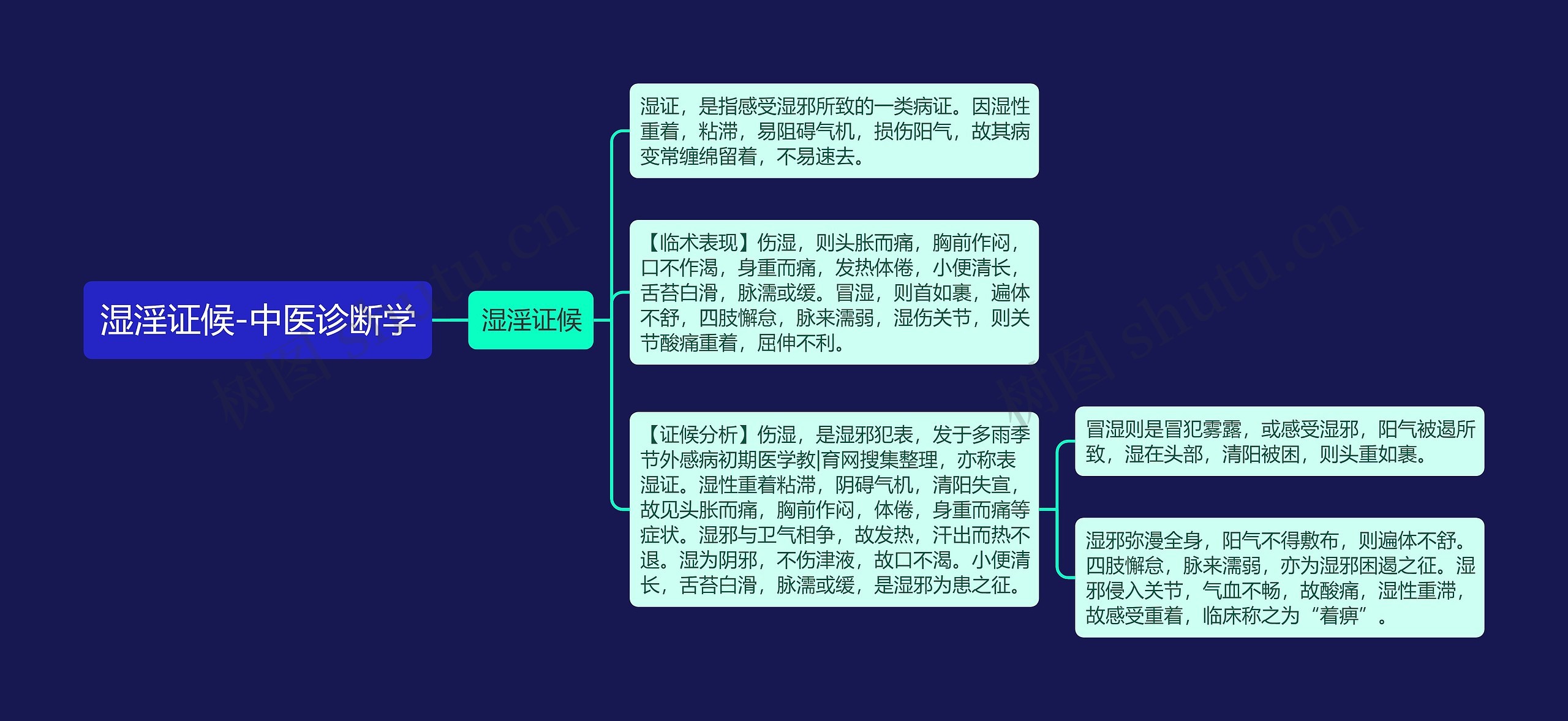 湿淫证候-中医诊断学思维导图