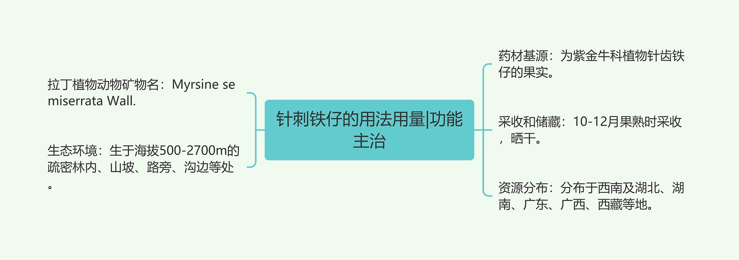 针刺铁仔的用法用量|功能主治思维导图