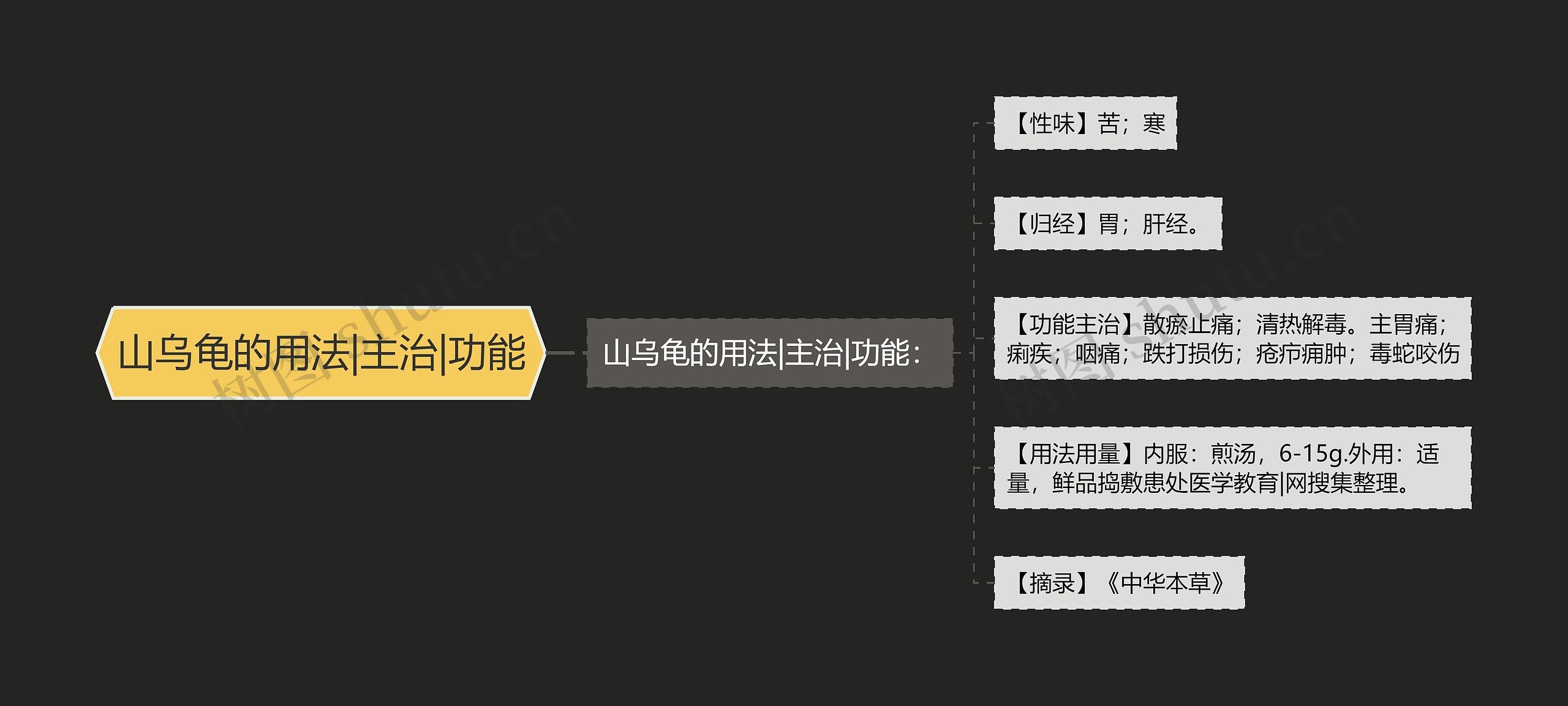 山乌龟的用法|主治|功能思维导图