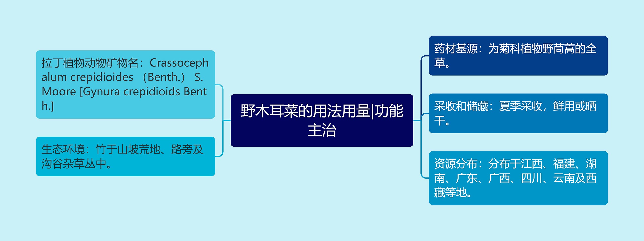 野木耳菜的用法用量|功能主治