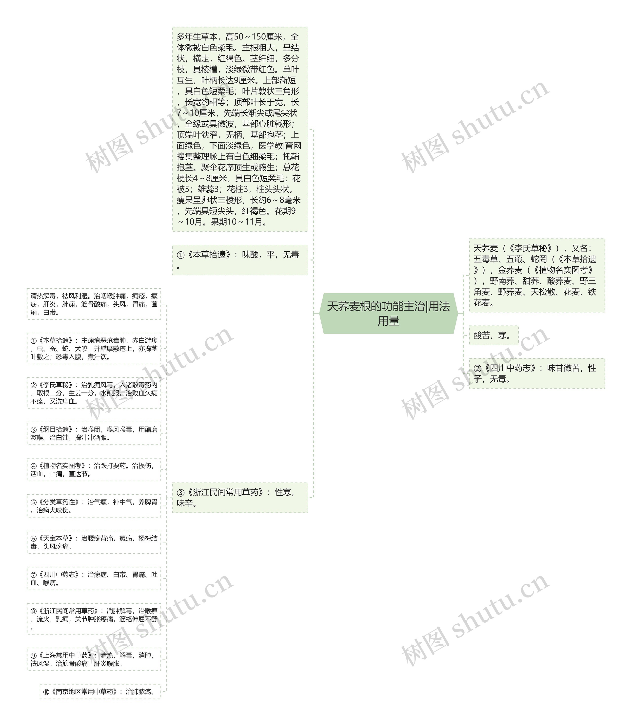 天荞麦根的功能主治|用法用量思维导图