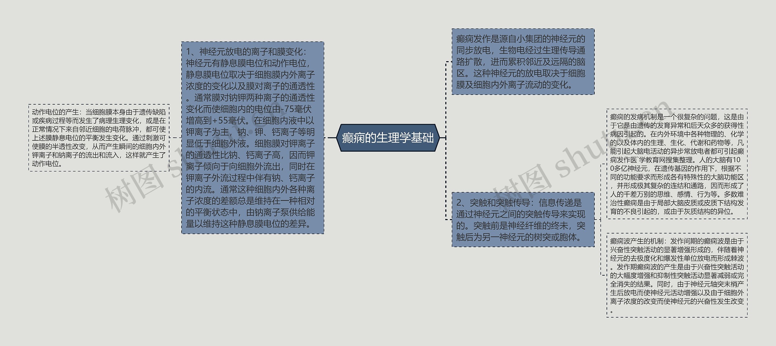 癫痫的生理学基础