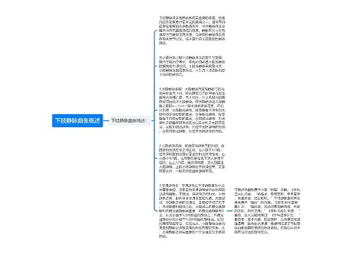 下肢静脉曲张概述