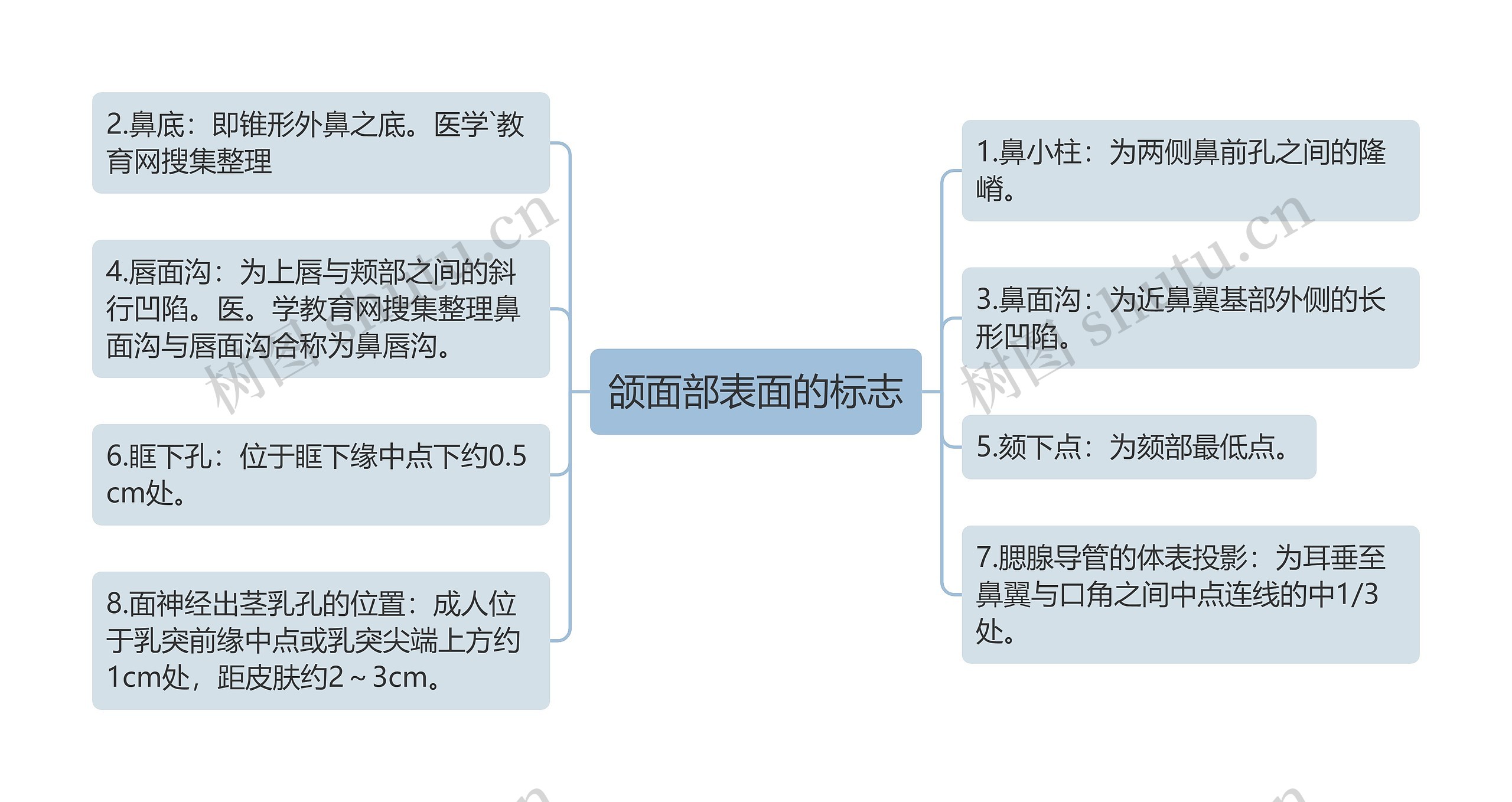 颌面部表面的标志思维导图