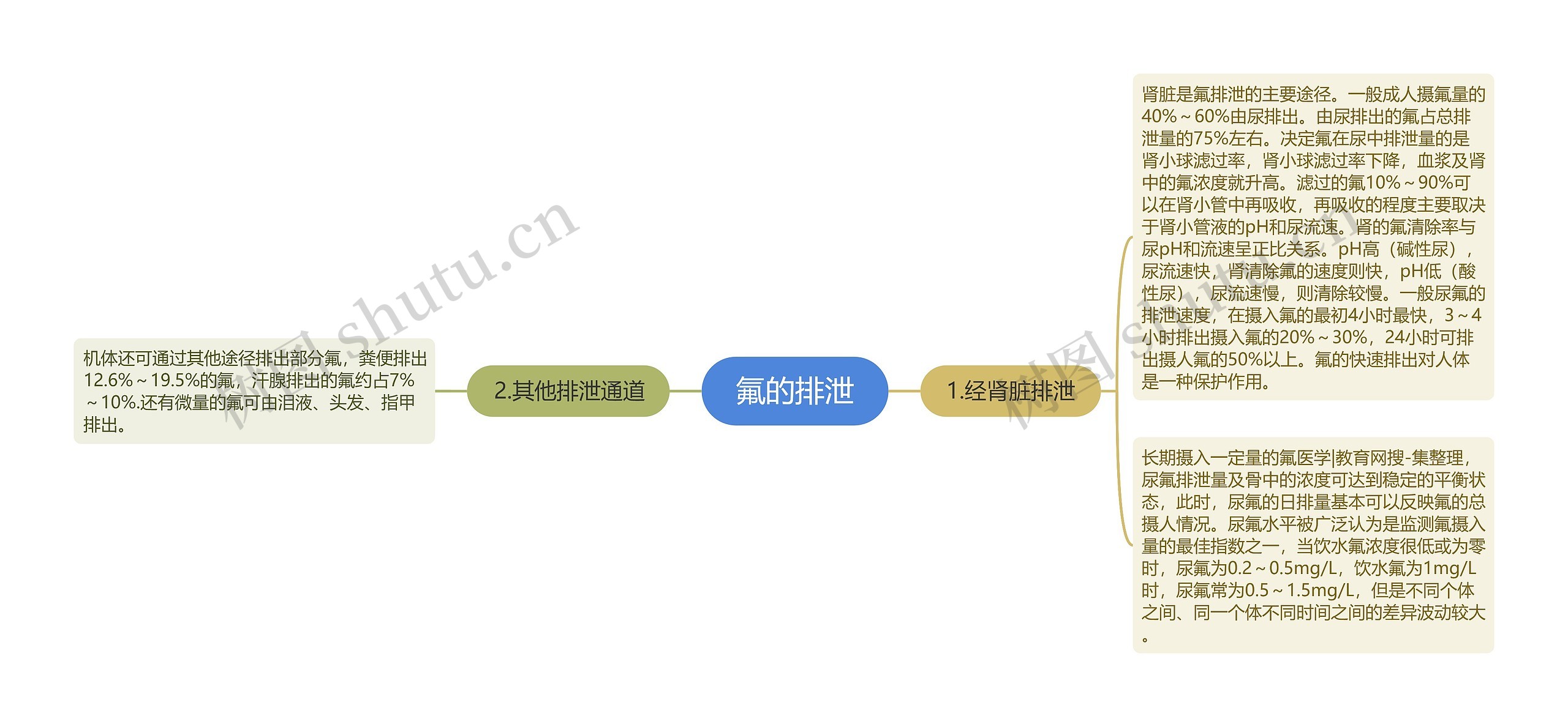 氟的排泄思维导图