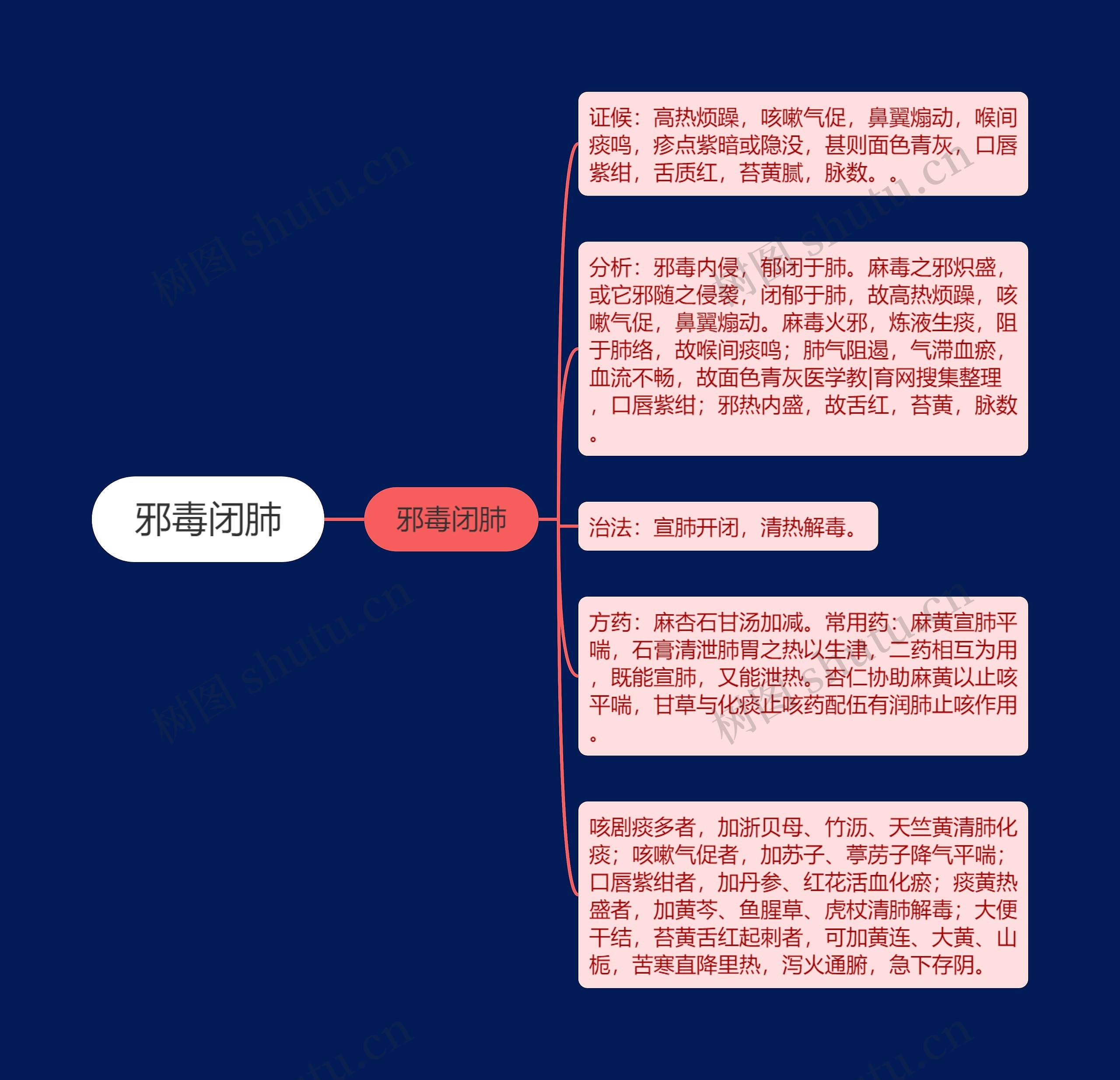 邪毒闭肺思维导图高清图 邪毒闭肺思维导图