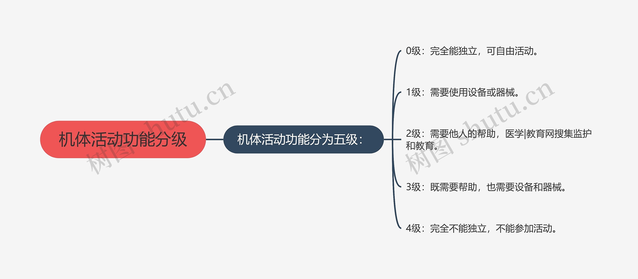 机体活动功能分级思维导图