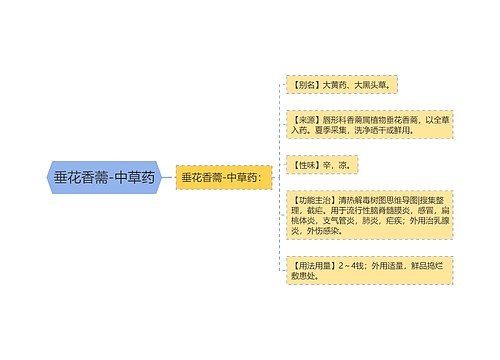 垂花香薷-中草药