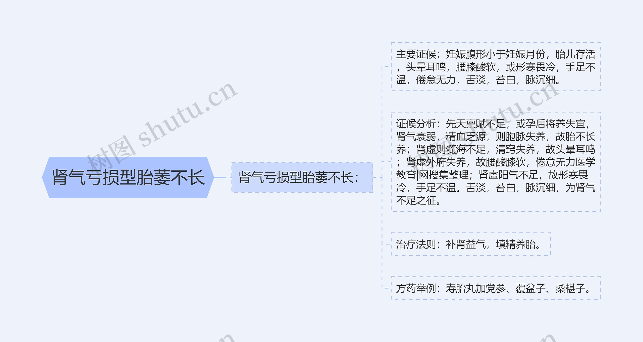 肾气亏损型胎萎不长思维导图