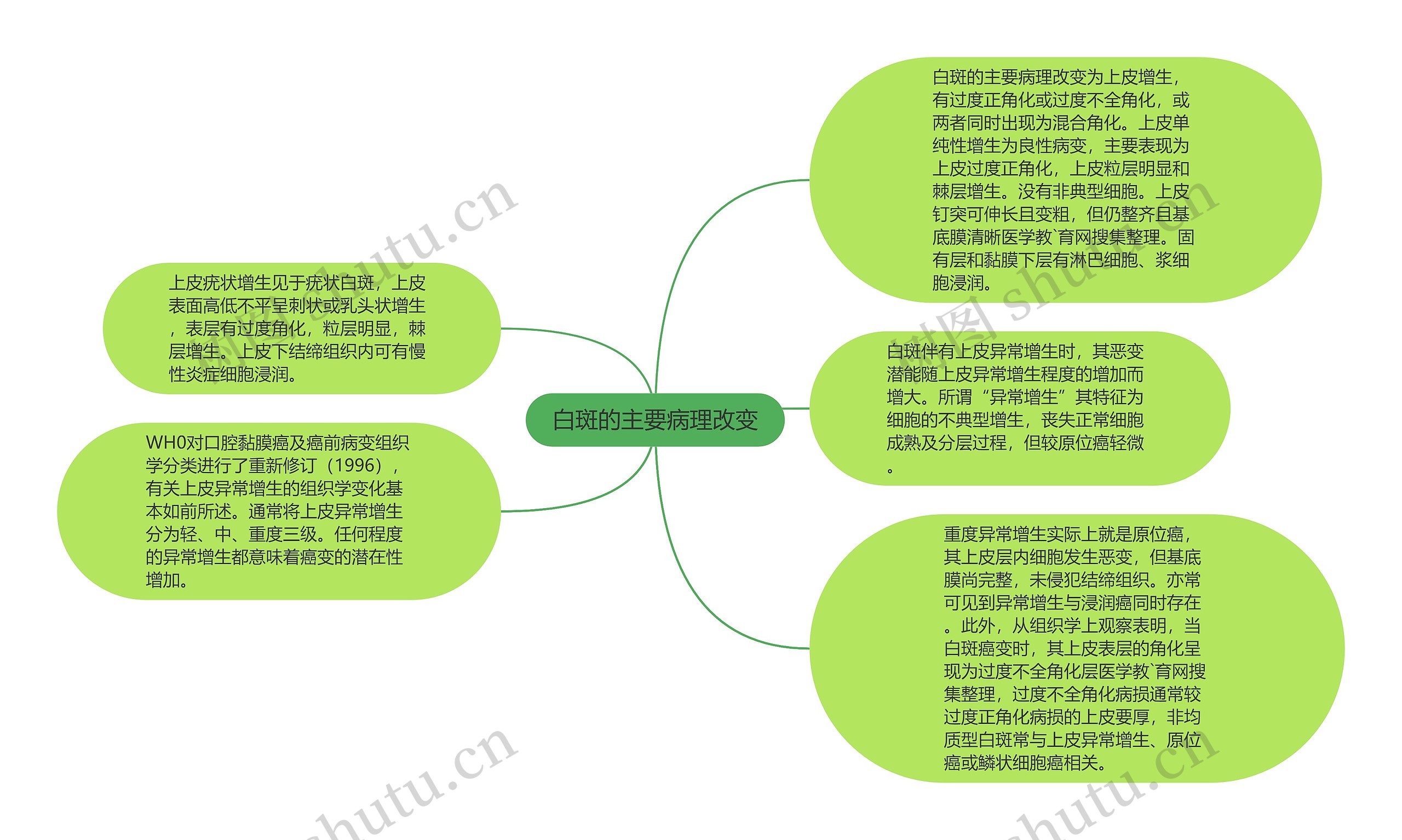 白斑的主要病理改变思维导图