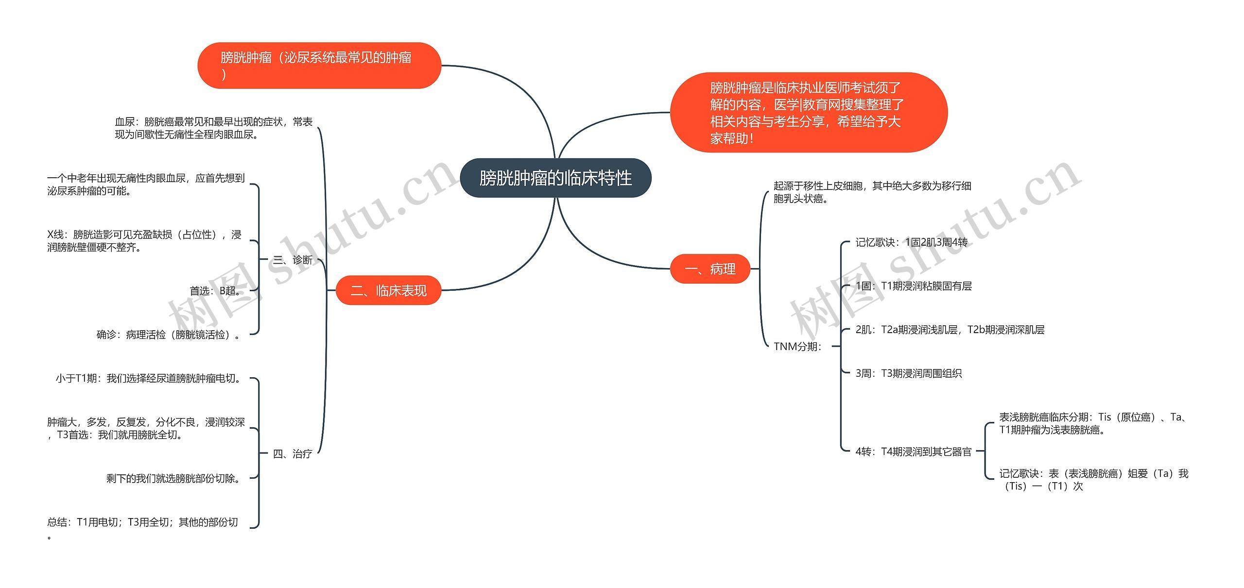 膀胱肿瘤的临床特性思维导图