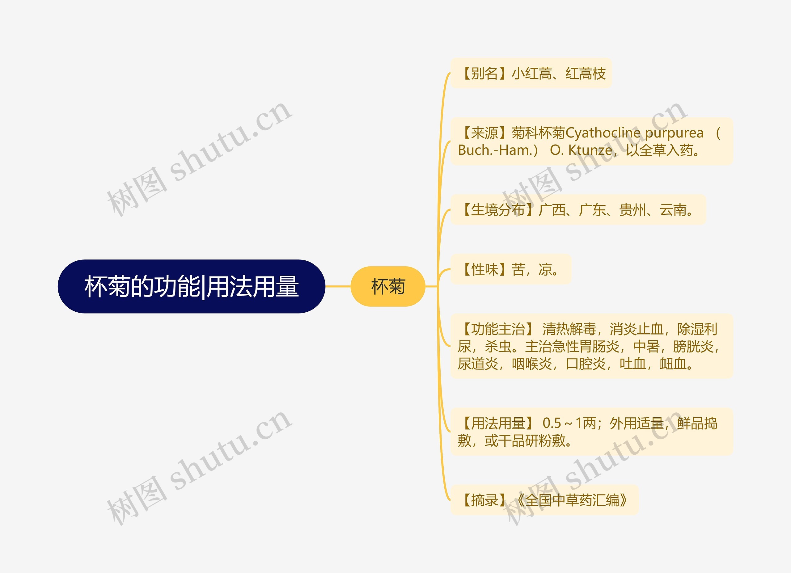 杯菊的功能|用法用量 杯菊的功能|用法用量