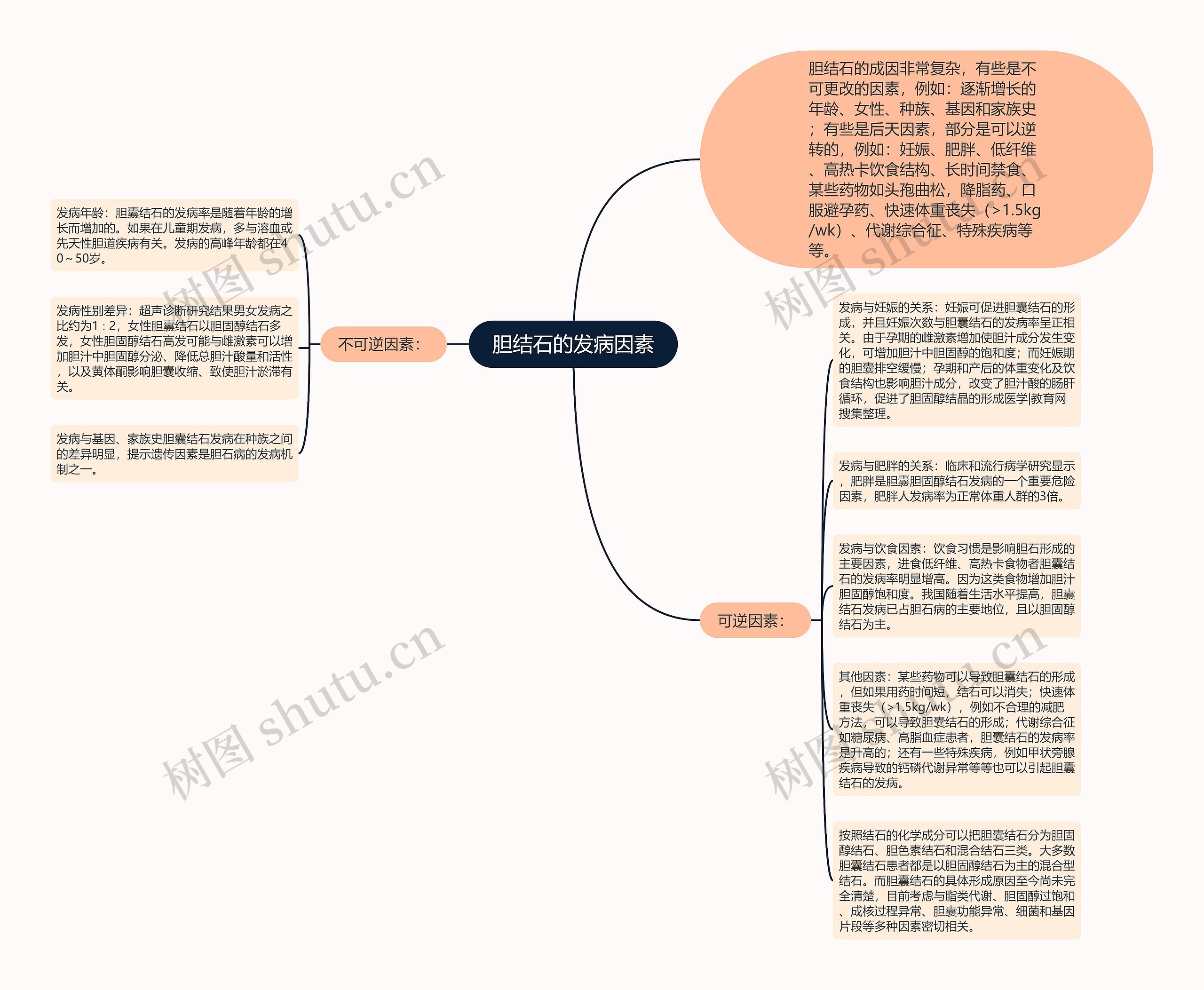 胆结石的发病因素