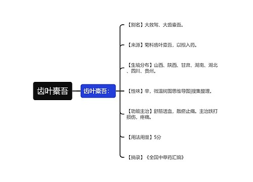 齿叶橐吾