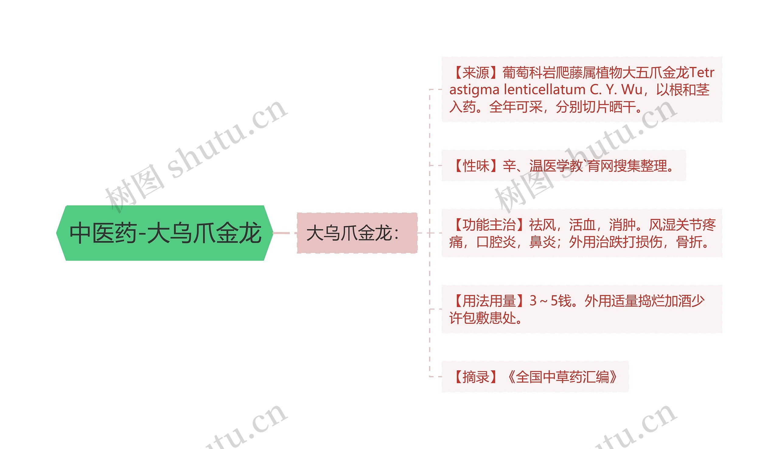 中医药-大乌爪金龙思维导图