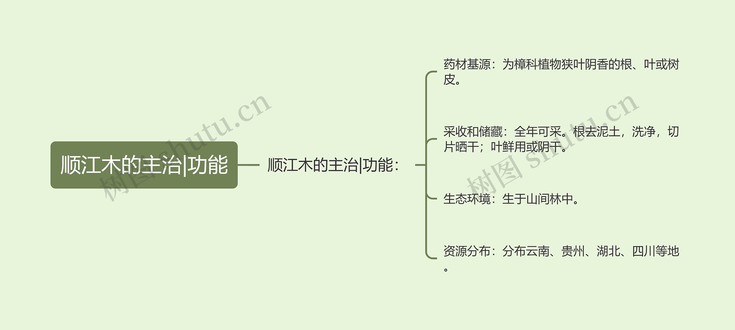 顺江木的主治|功能思维导图