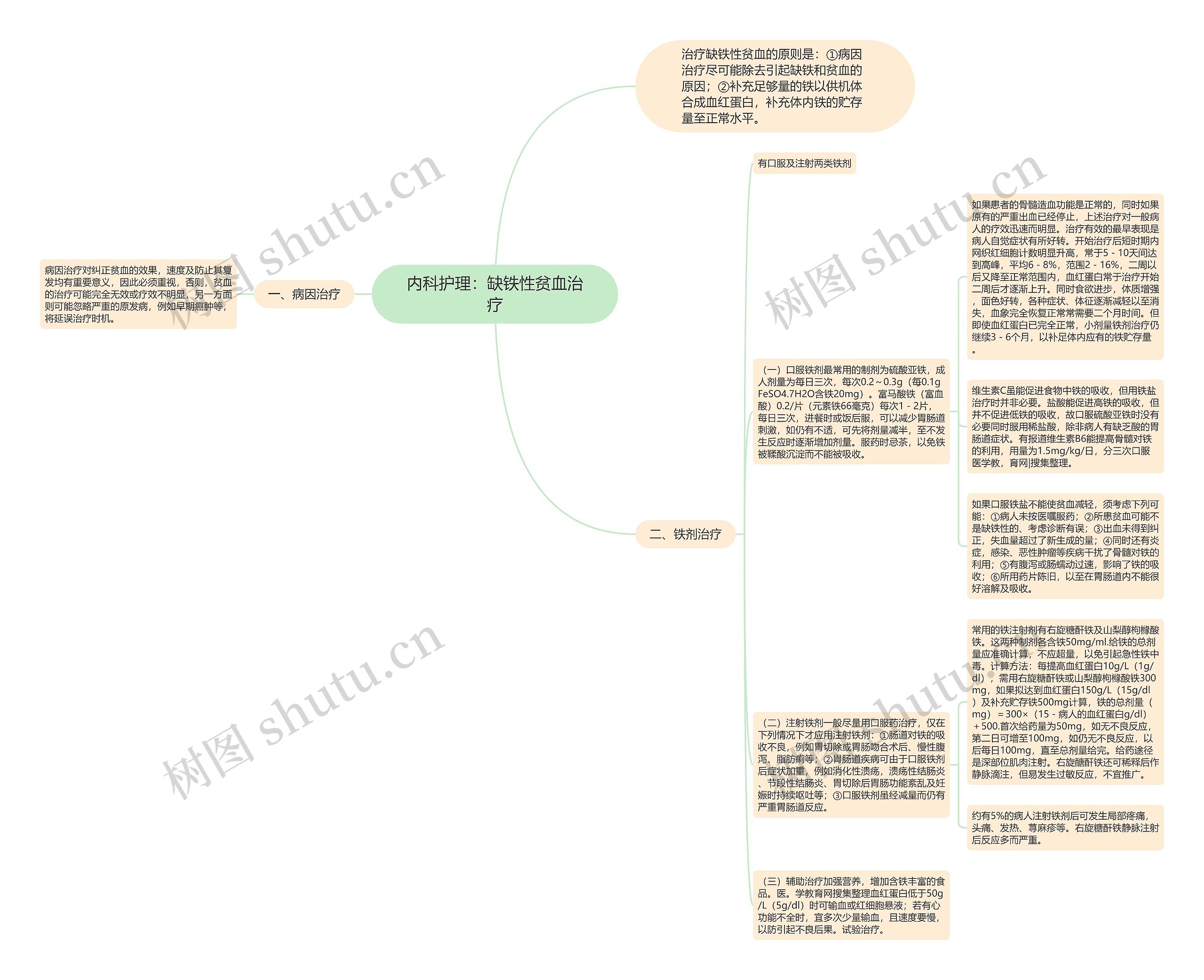 内科护理：缺铁性贫血治疗思维导图