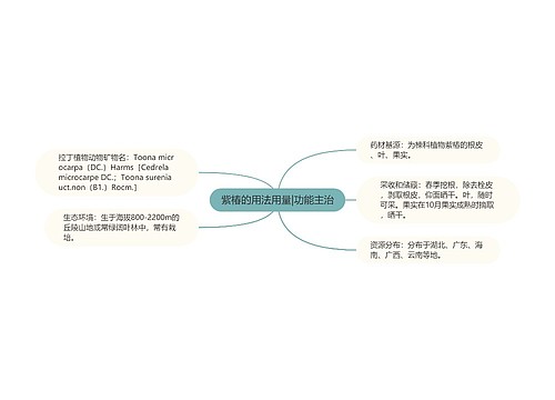 紫椿的用法用量|功能主治