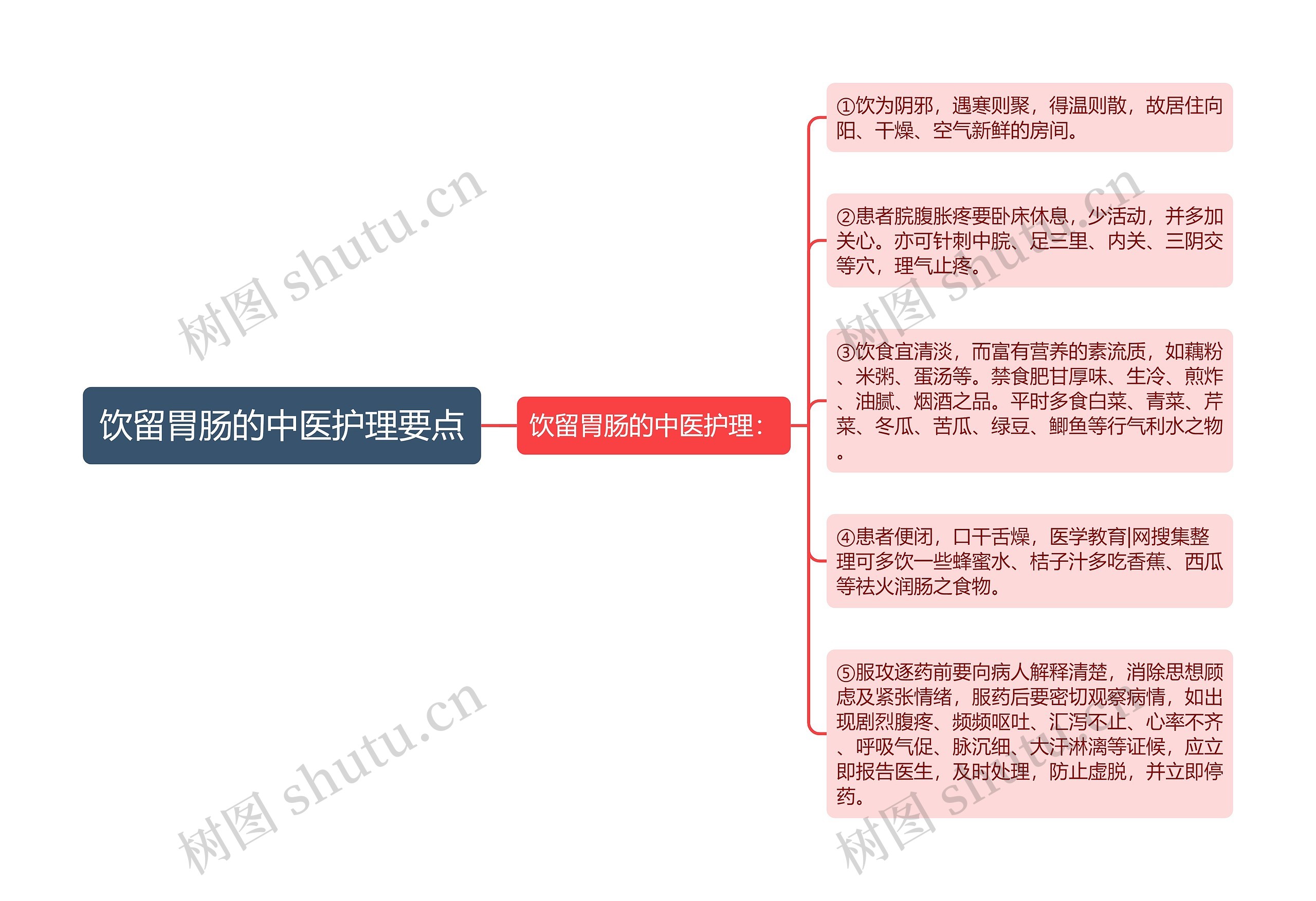 饮留胃肠的中医护理要点思维导图