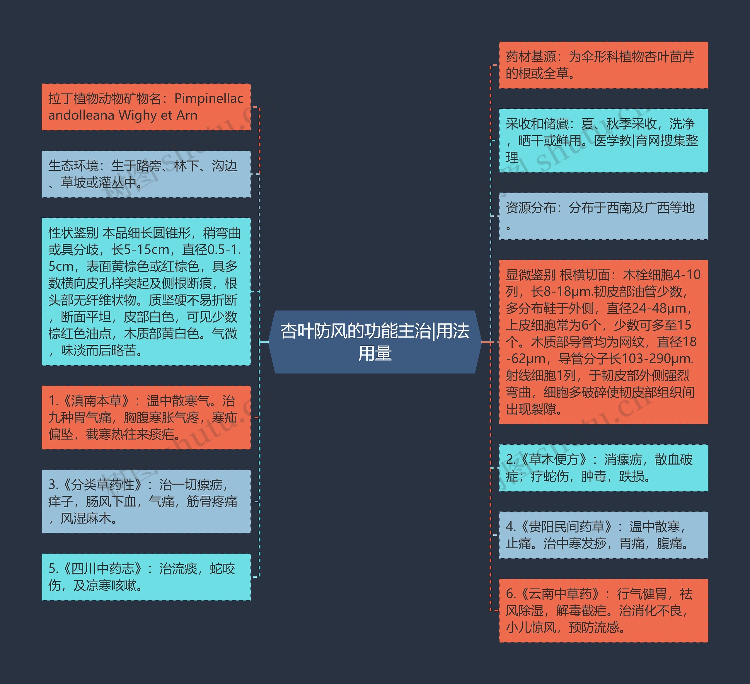 杏叶防风的功能主治|用法用量思维导图