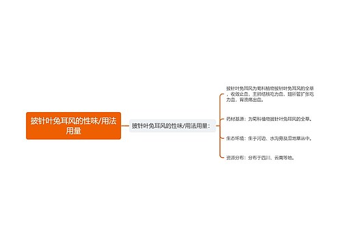 披针叶兔耳风的性味/用法用量