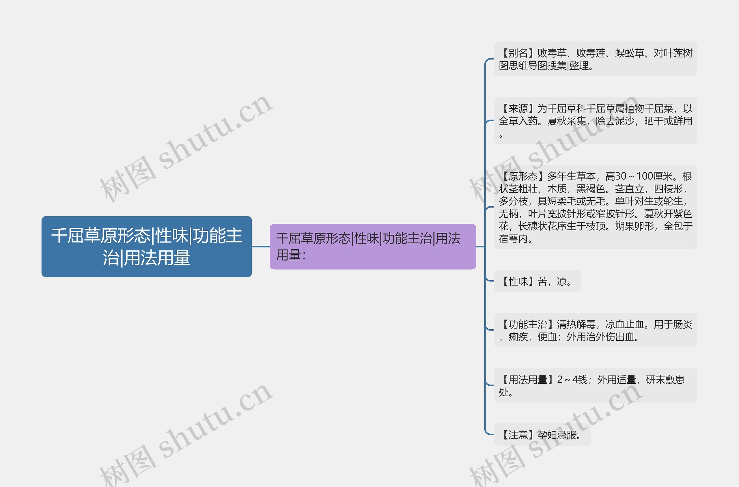 千屈草原形态|性味|功能主治|用法用量思维导图