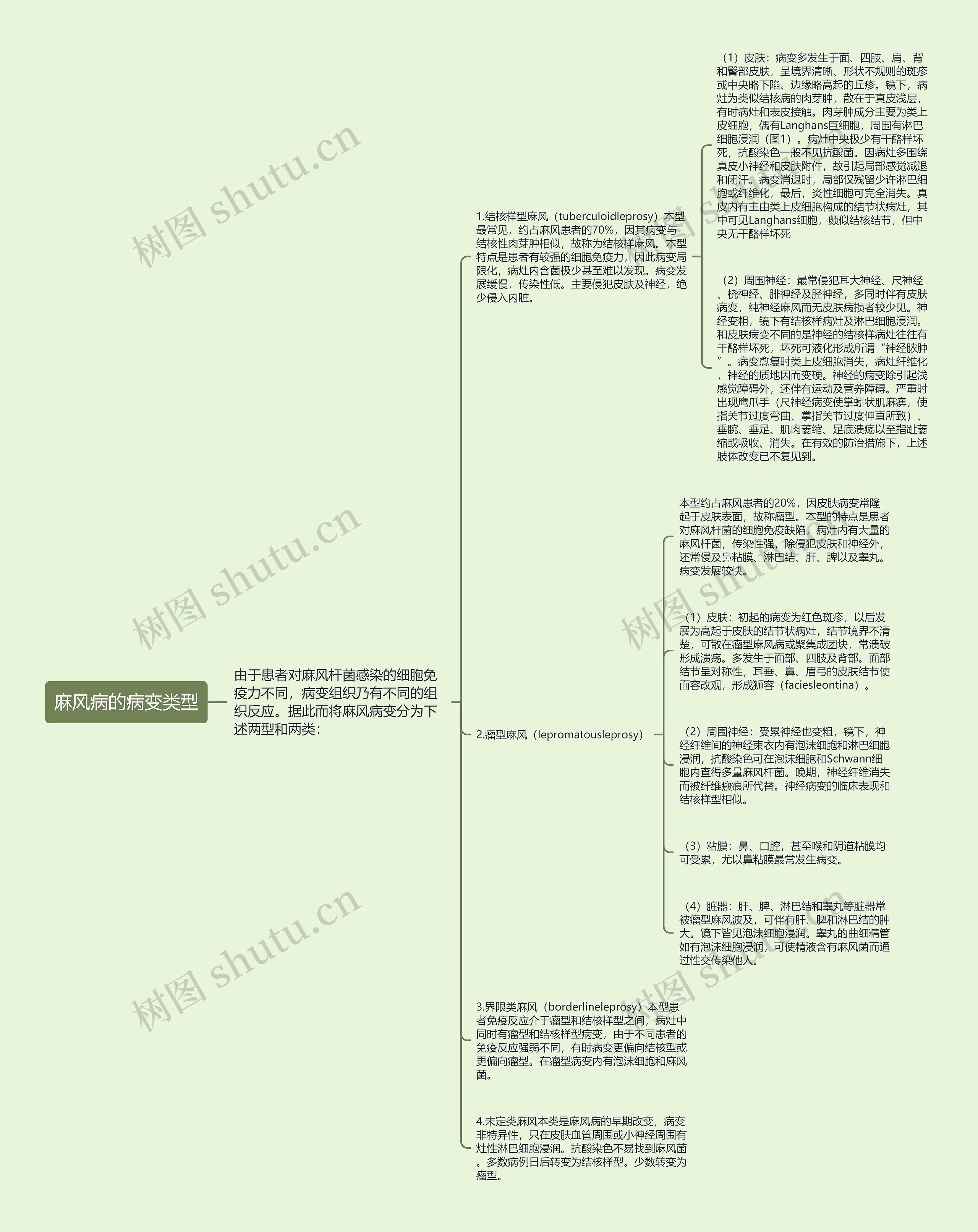 麻风病的病变类型 麻风病的病变类型