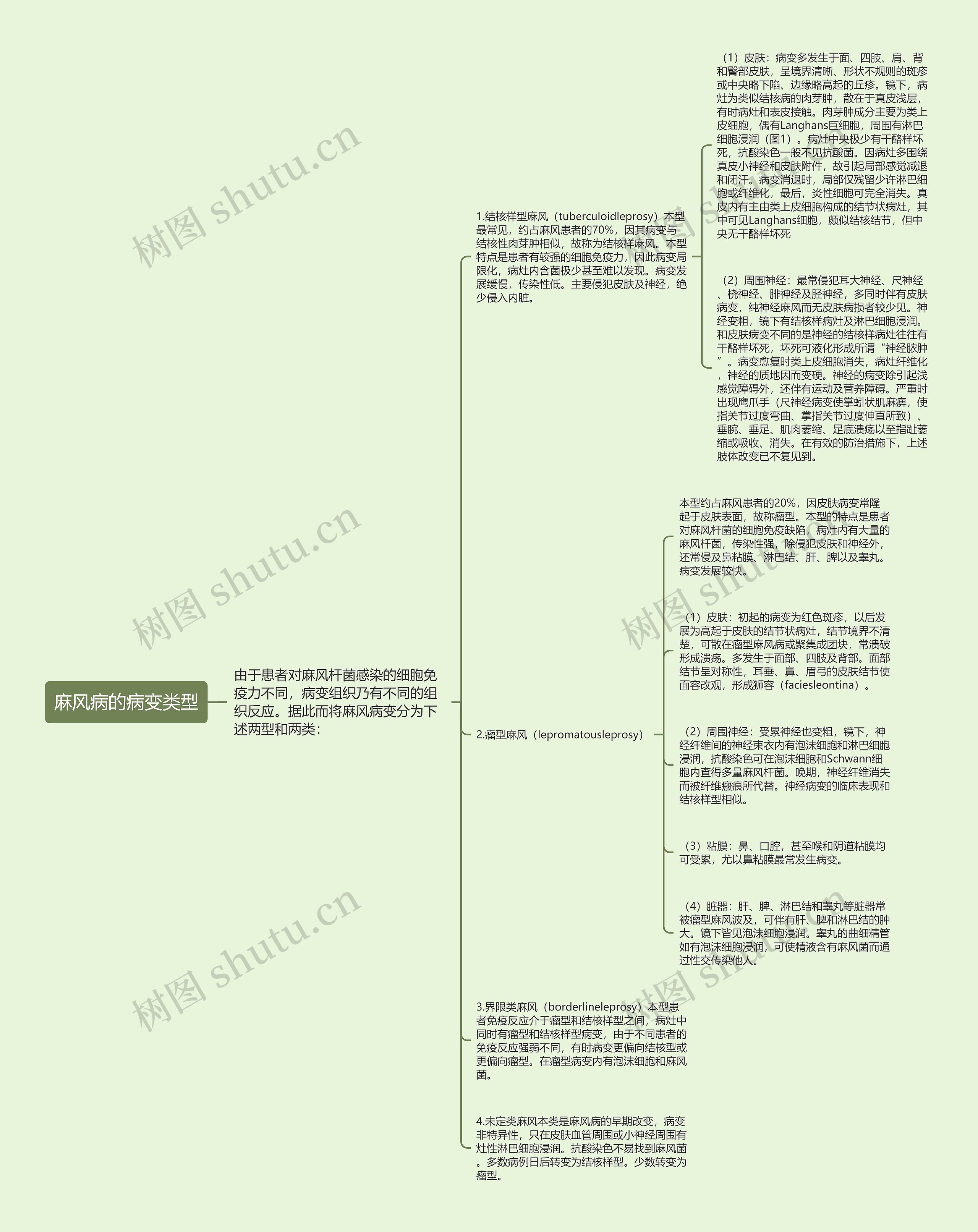 麻风病的病变类型思维导图