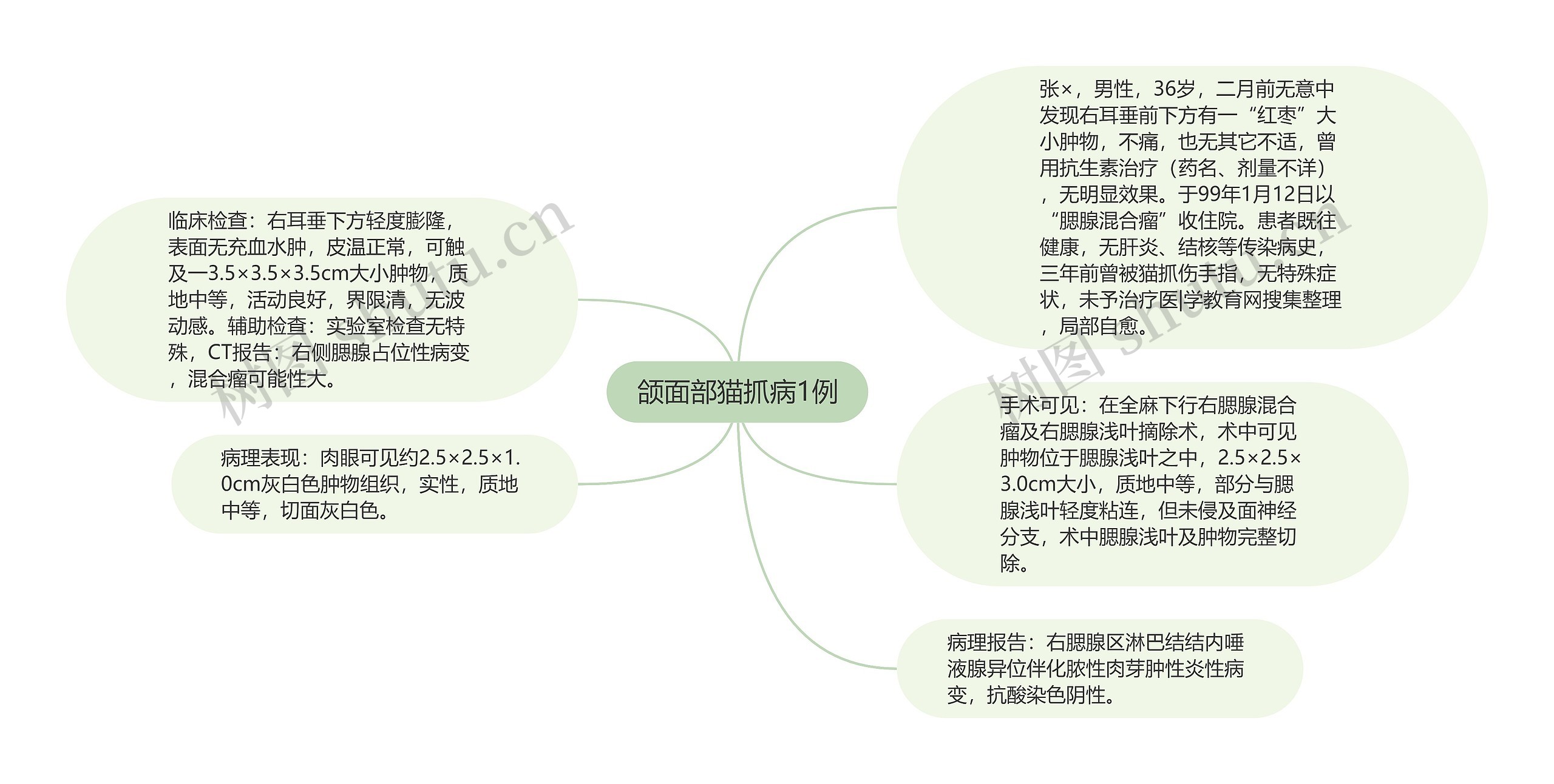 颌面部猫抓病1例思维导图