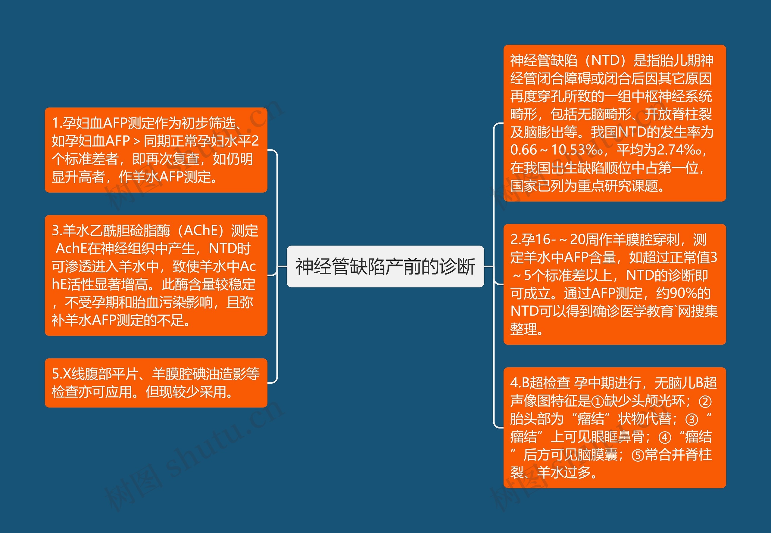 神经管缺陷产前的诊断思维导图