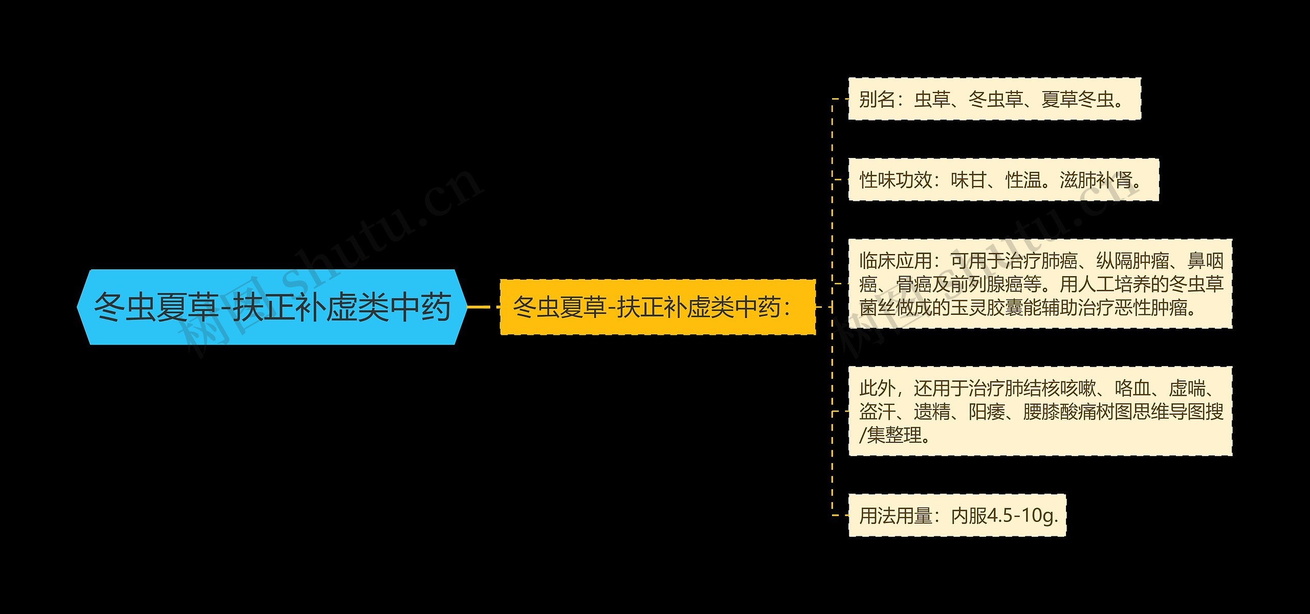 冬虫夏草-扶正补虚类中药思维导图