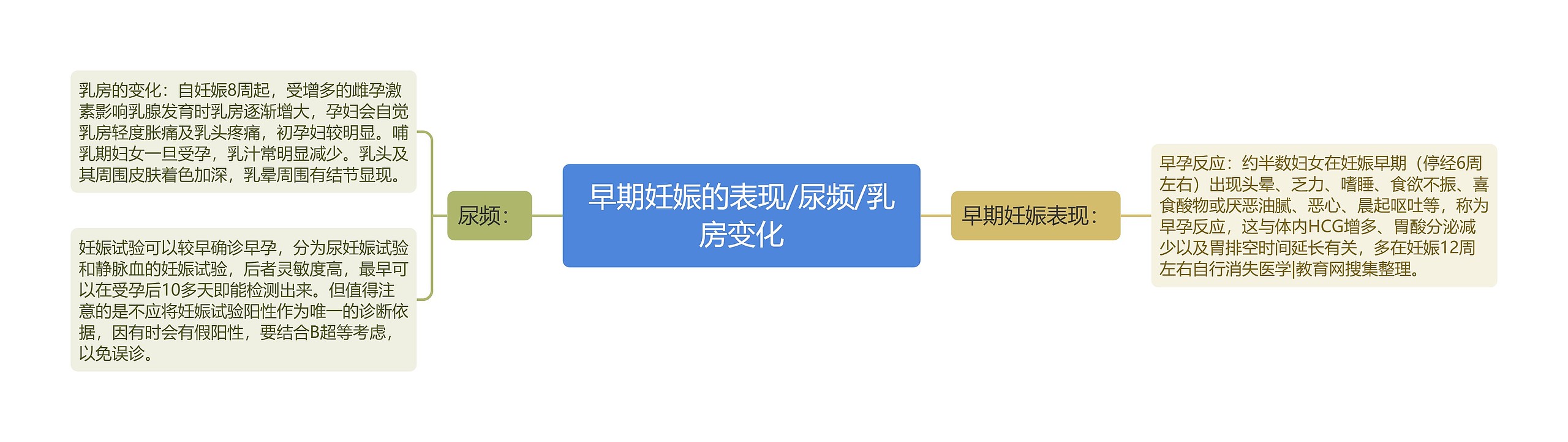早期妊娠的表现/尿频/乳房变化 早期妊娠的表现/尿频/乳房变化