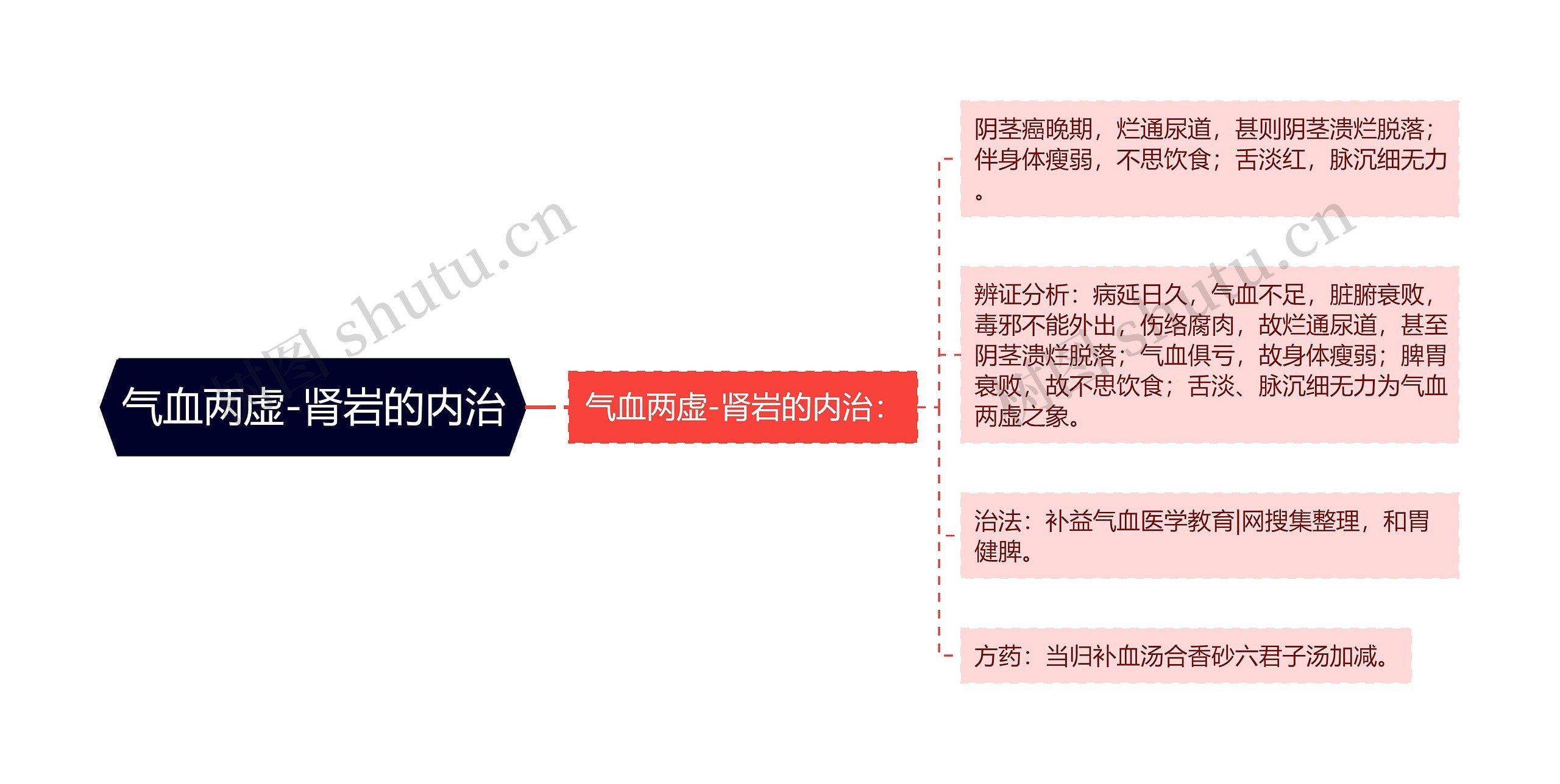 气血两虚-肾岩的内治 气血两虚-肾岩的内治