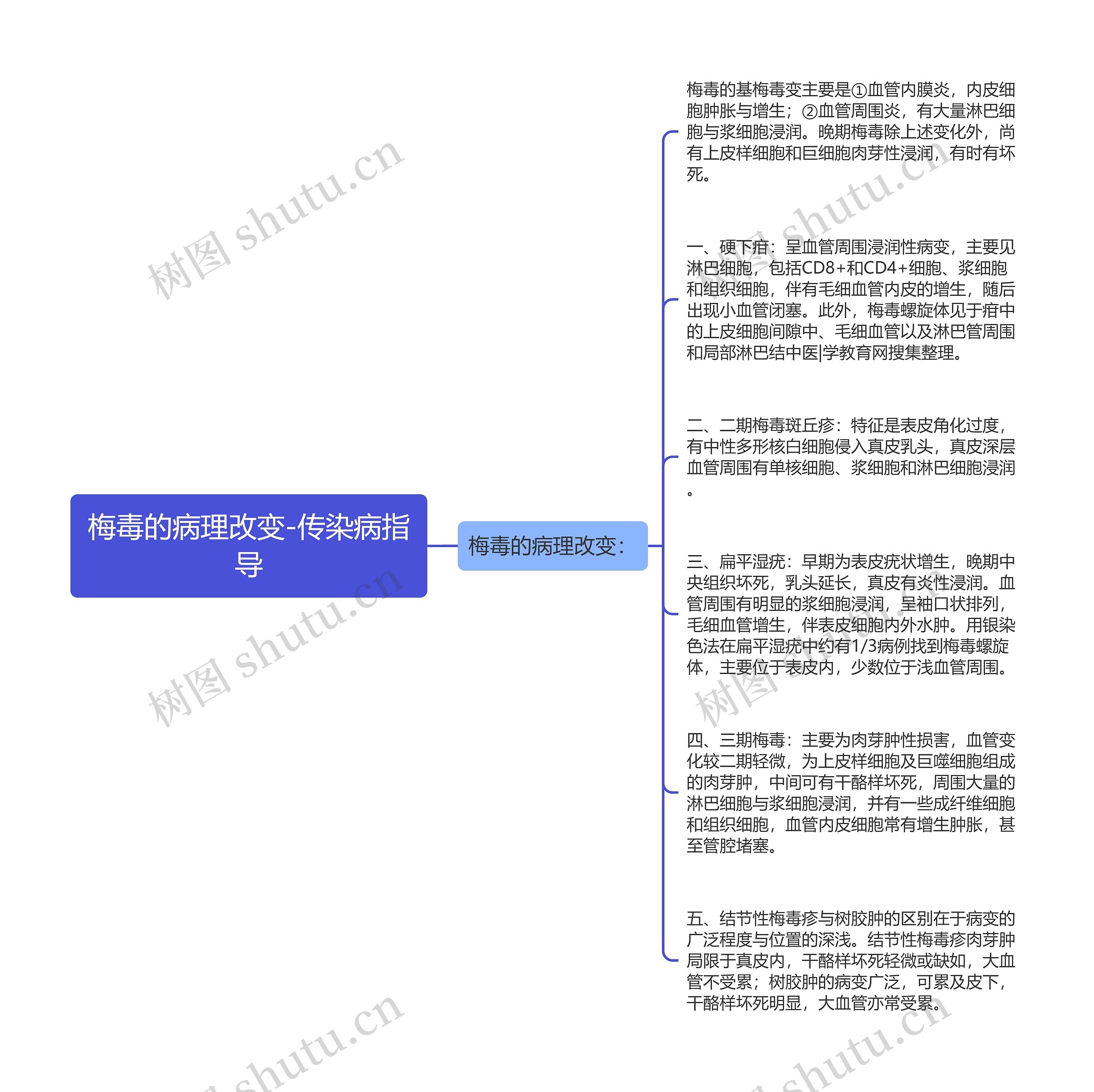 梅毒的病理改变-传染病指导