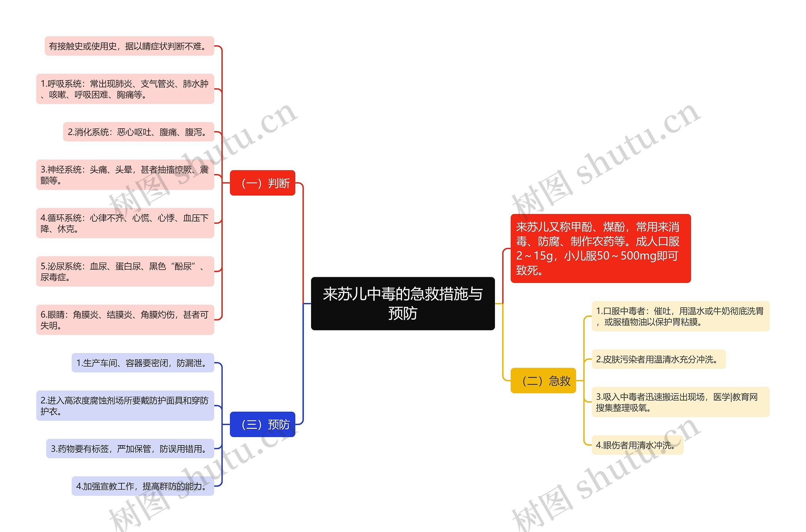 来苏儿中毒的急救措施与预防思维导图