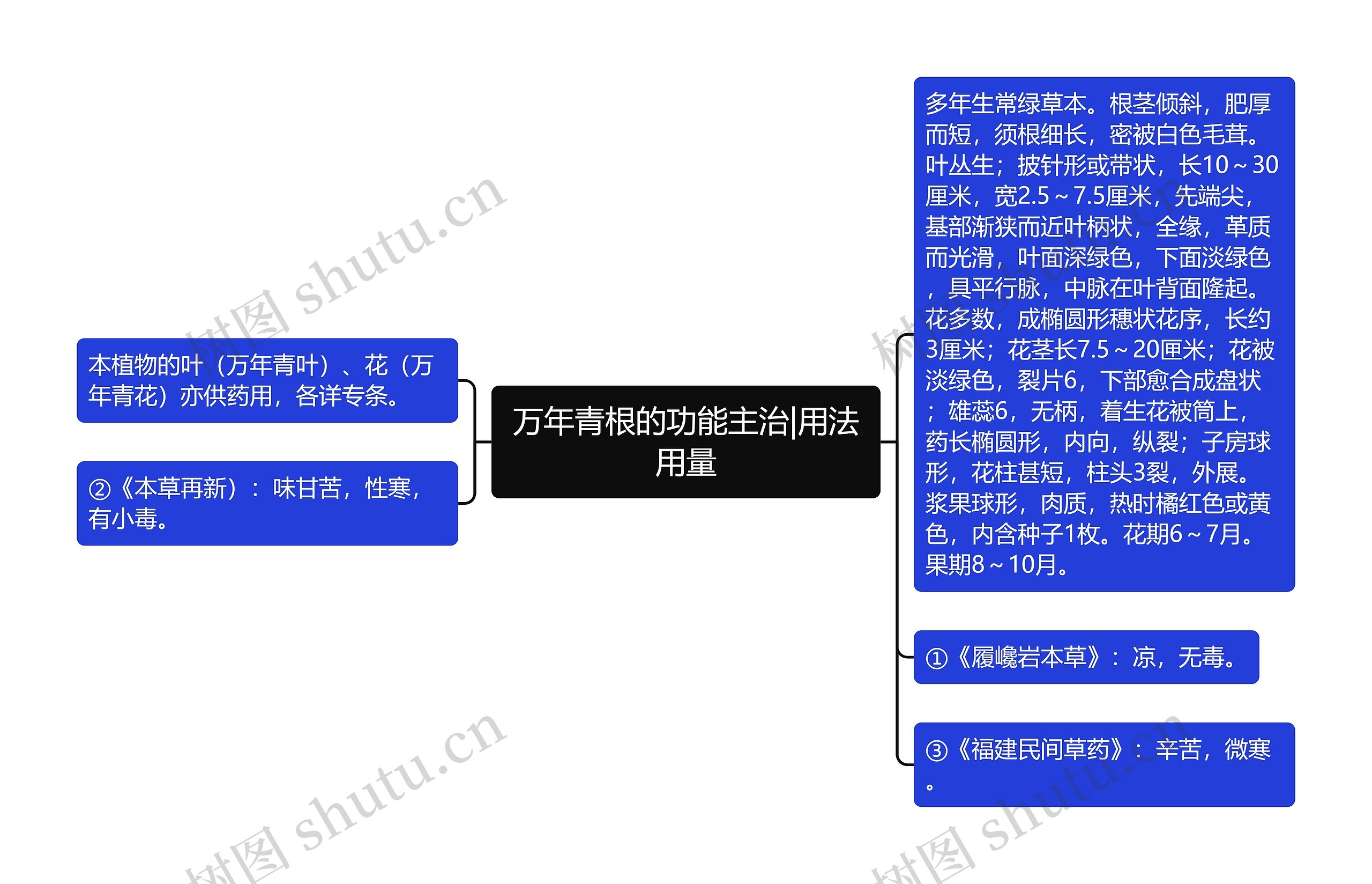 万年青根的功能主治|用法用量思维导图