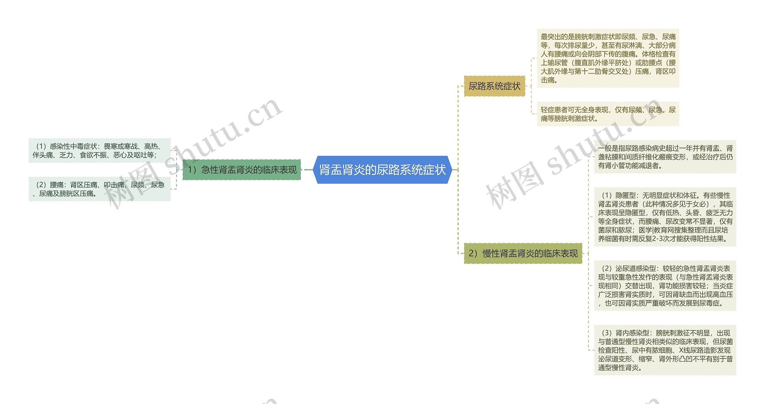 肾盂肾炎的尿路系统症状思维导图