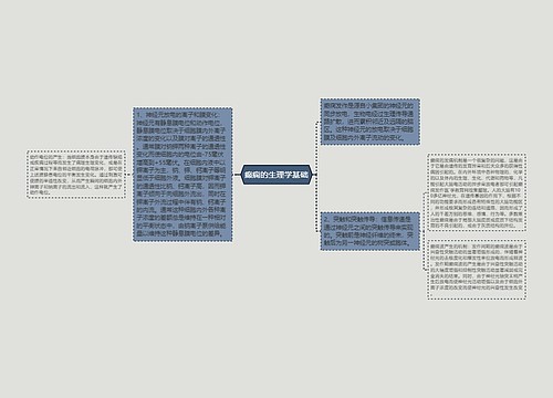 癫痫的生理学基础