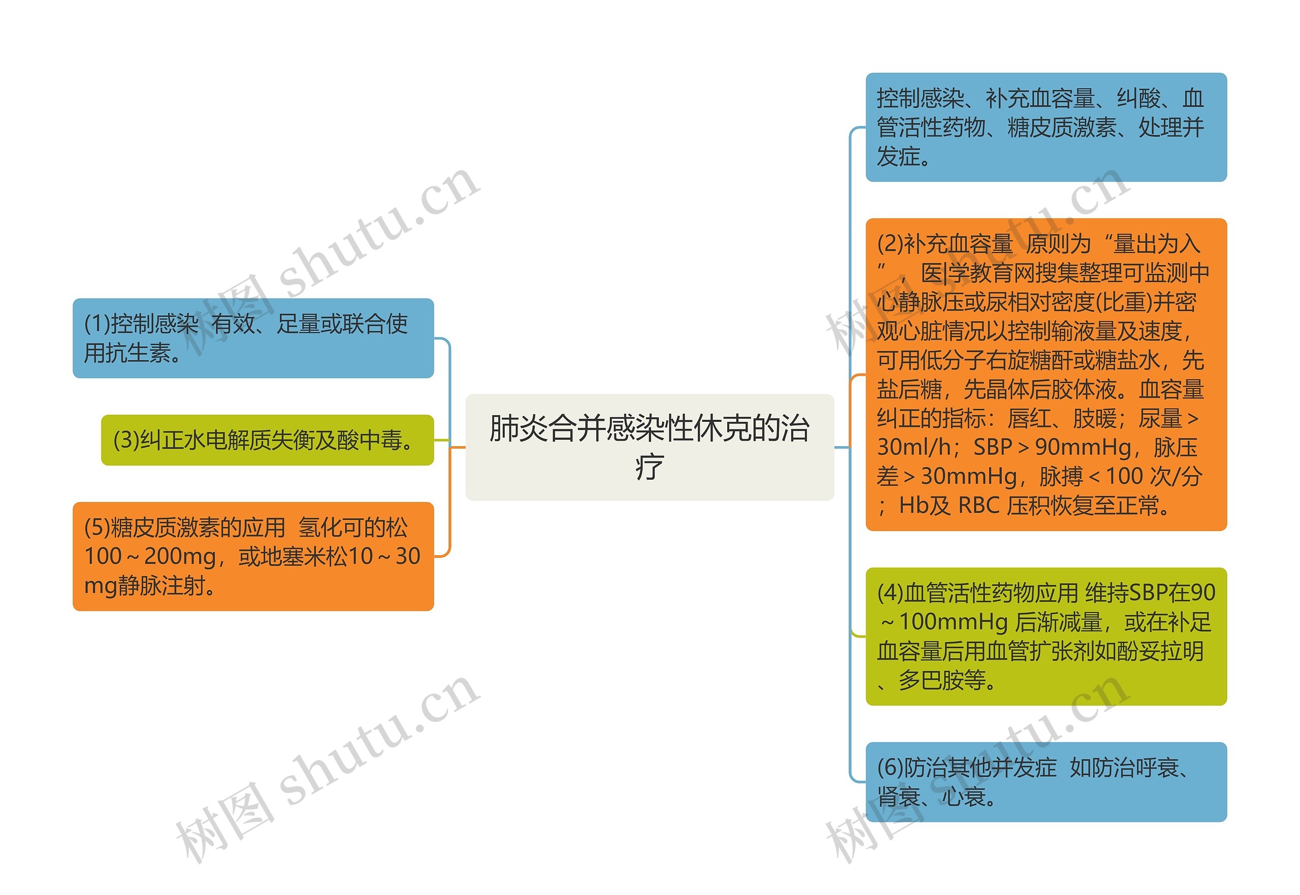 肺炎合并感染性休克的治疗思维导图