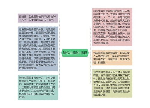 肺包虫囊肿-病理