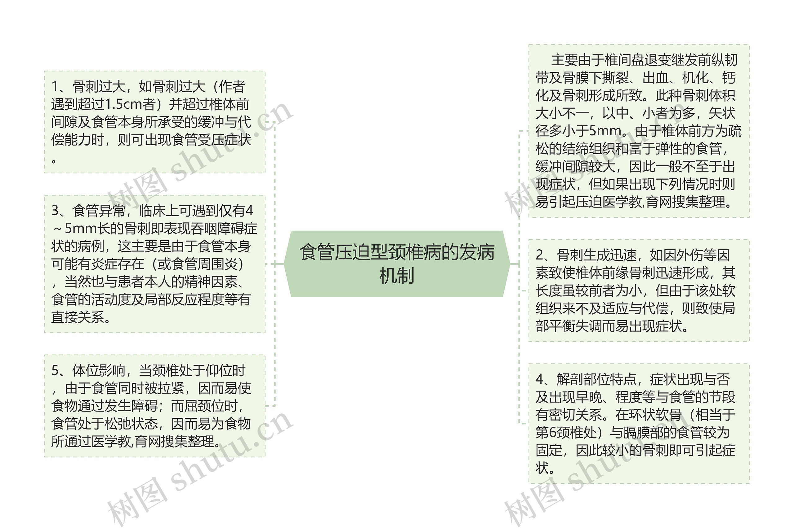 食管压迫型颈椎病的发病机制思维导图