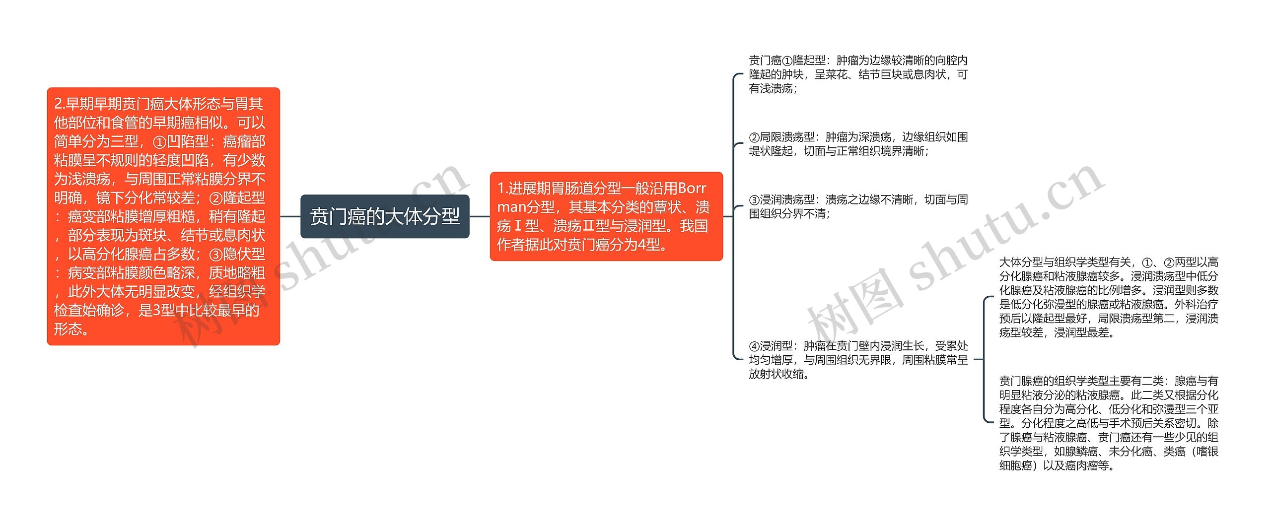 贲门癌的大体分型思维导图