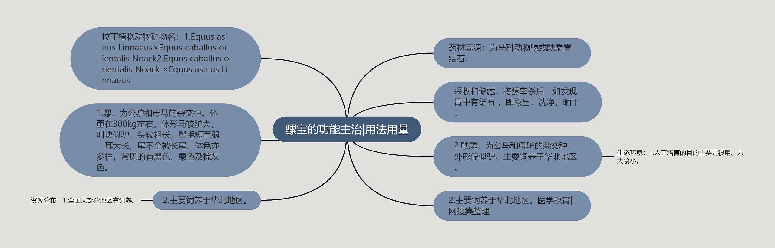 骡宝的功能主治|用法用量