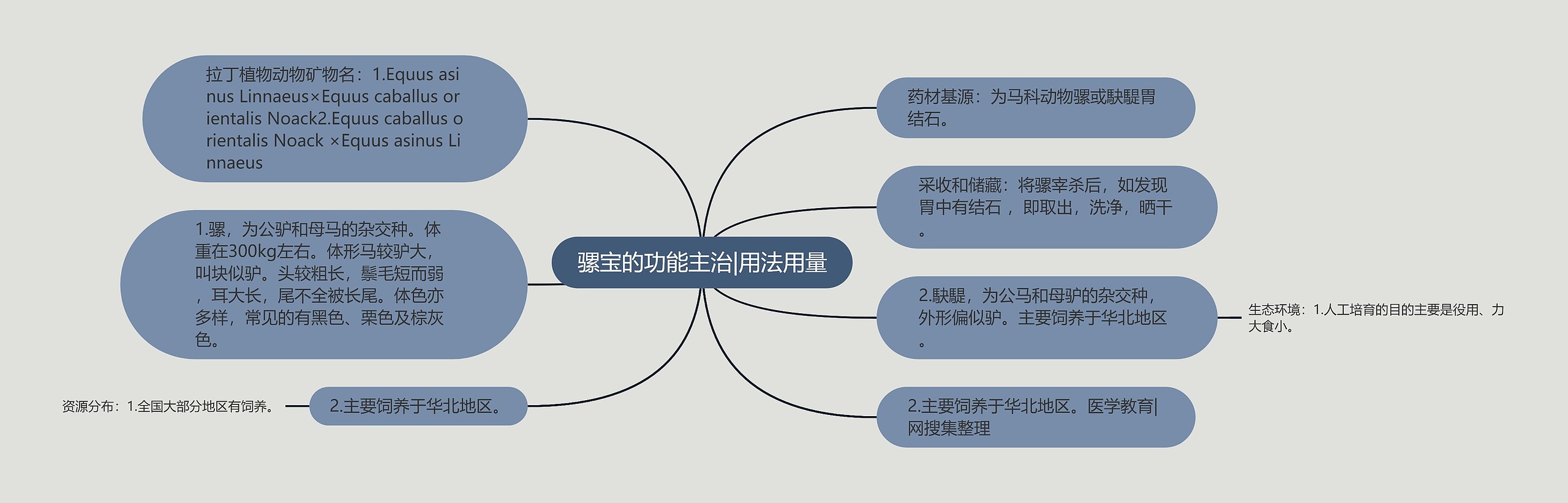 骡宝的功能主治|用法用量思维导图