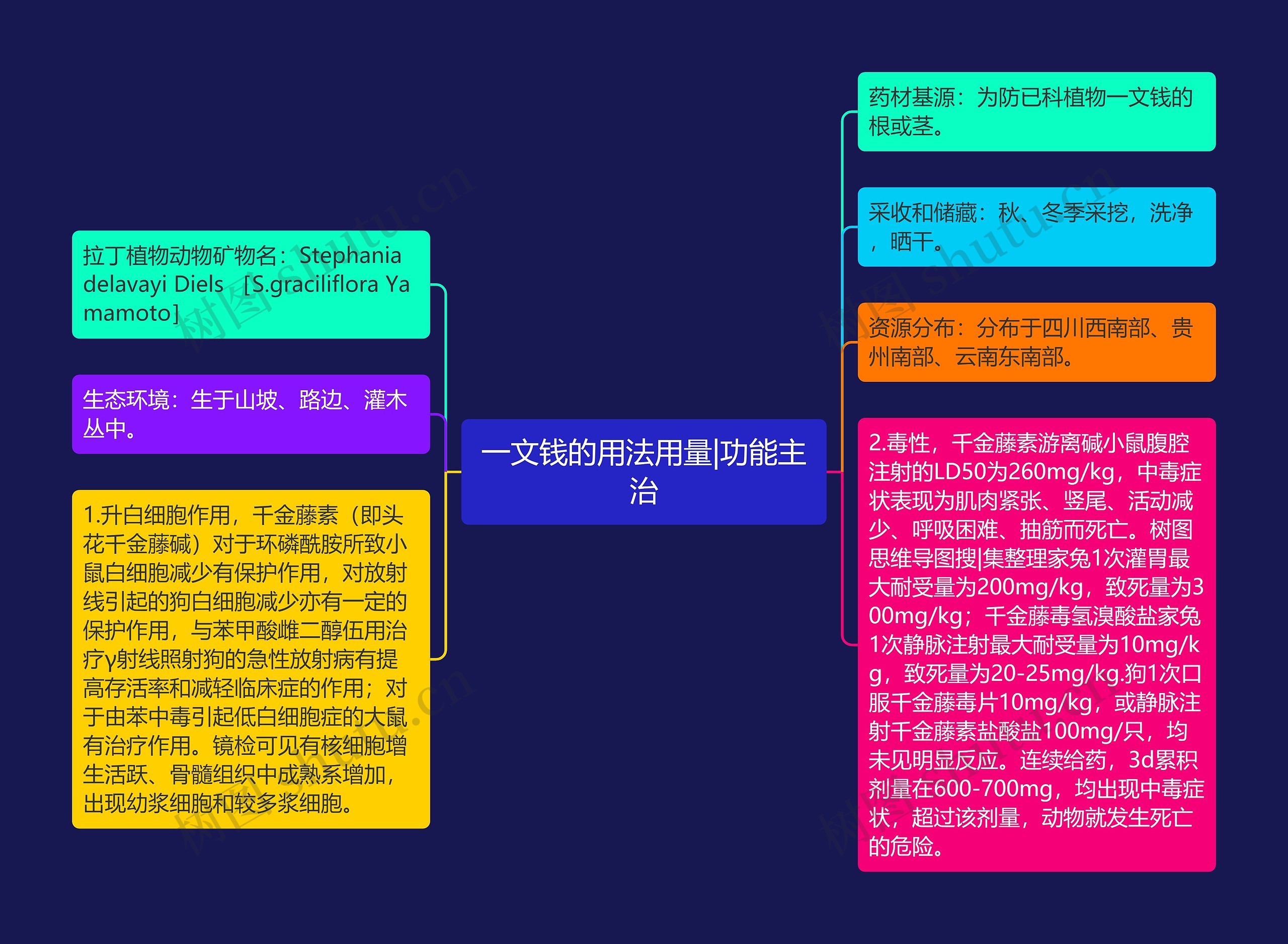 一文钱的用法用量|功能主治思维导图