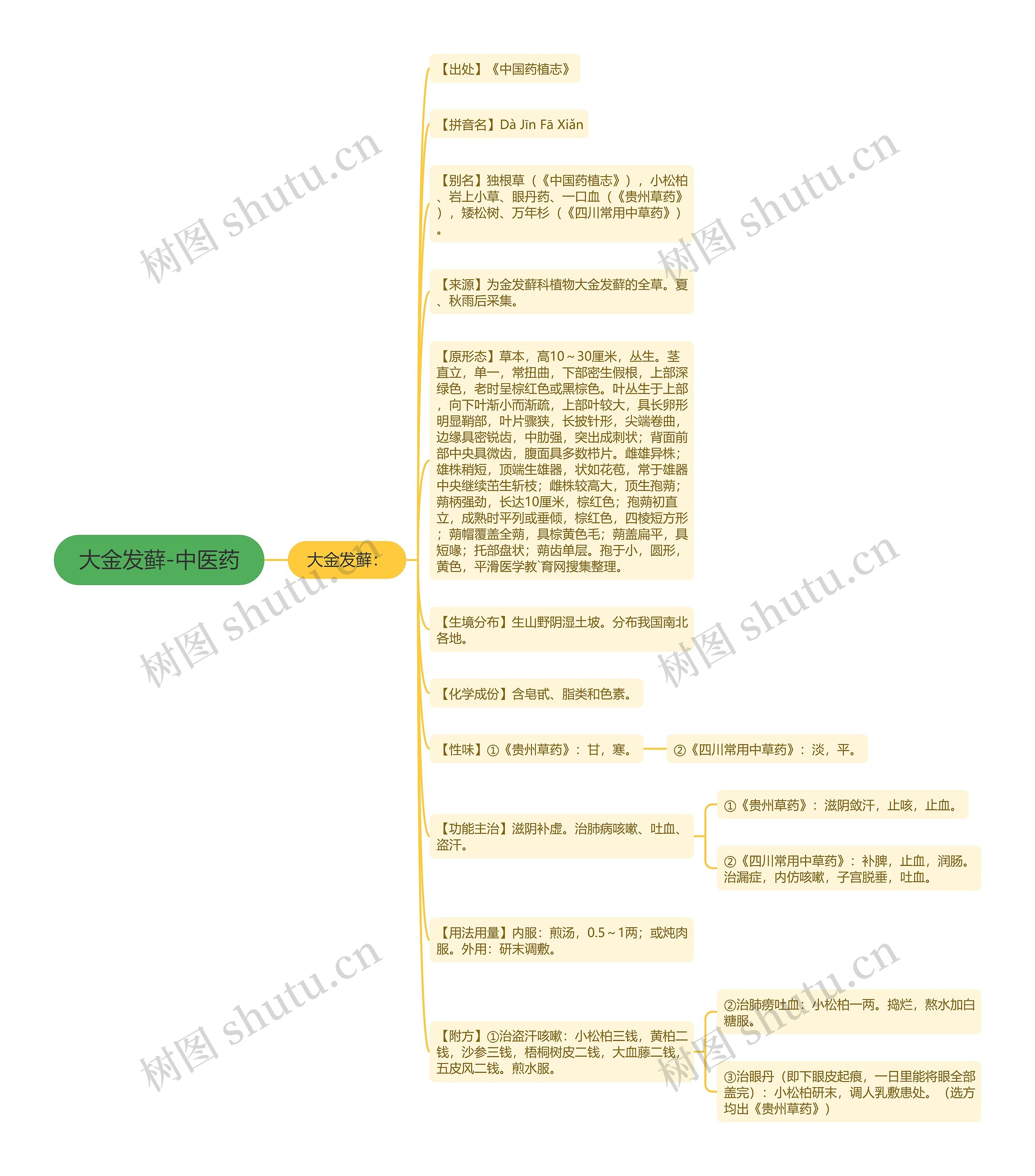 大金发藓-中医药思维导图
