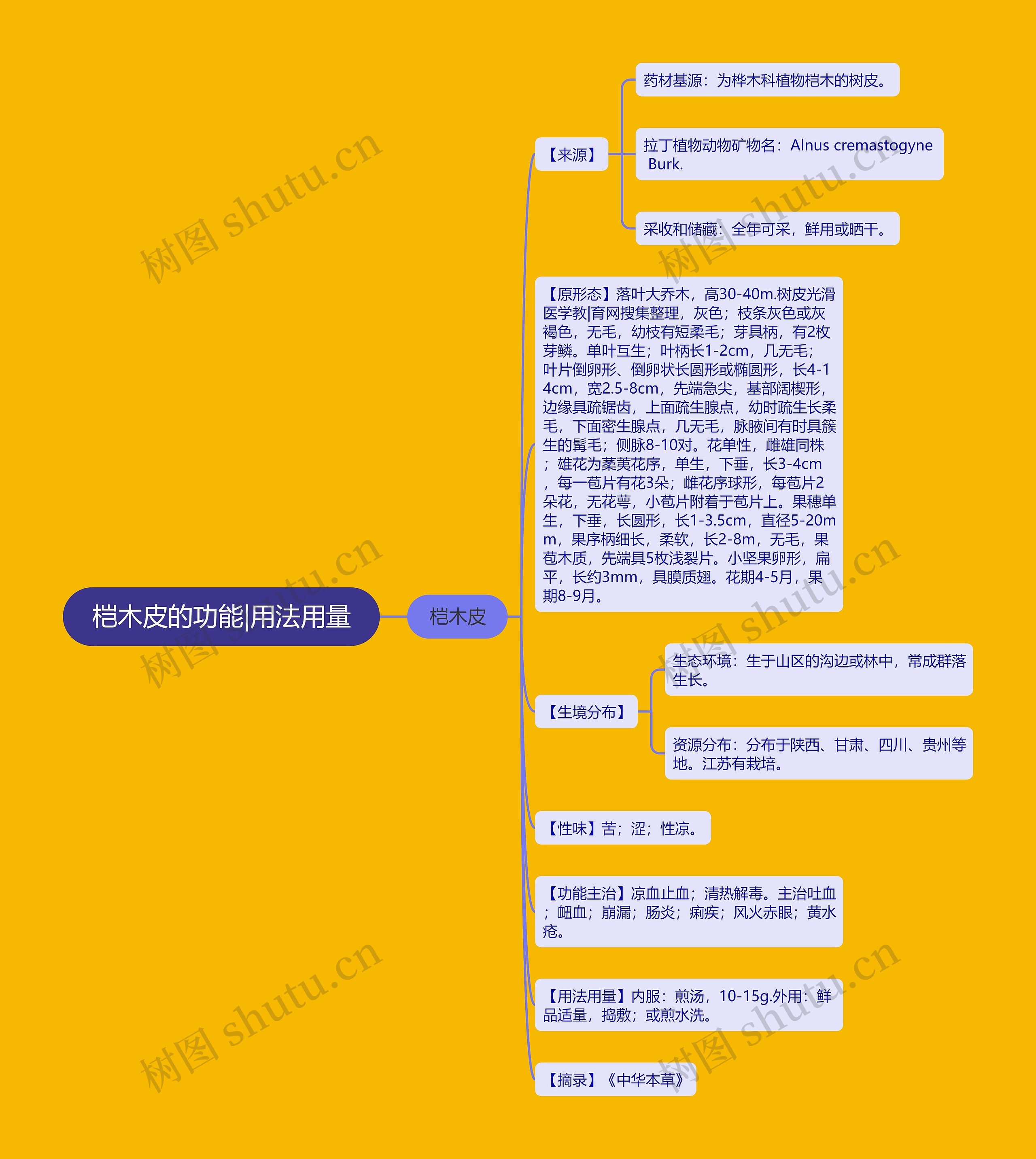 桤木皮的功能|用法用量 桤木皮的功能|用法用量