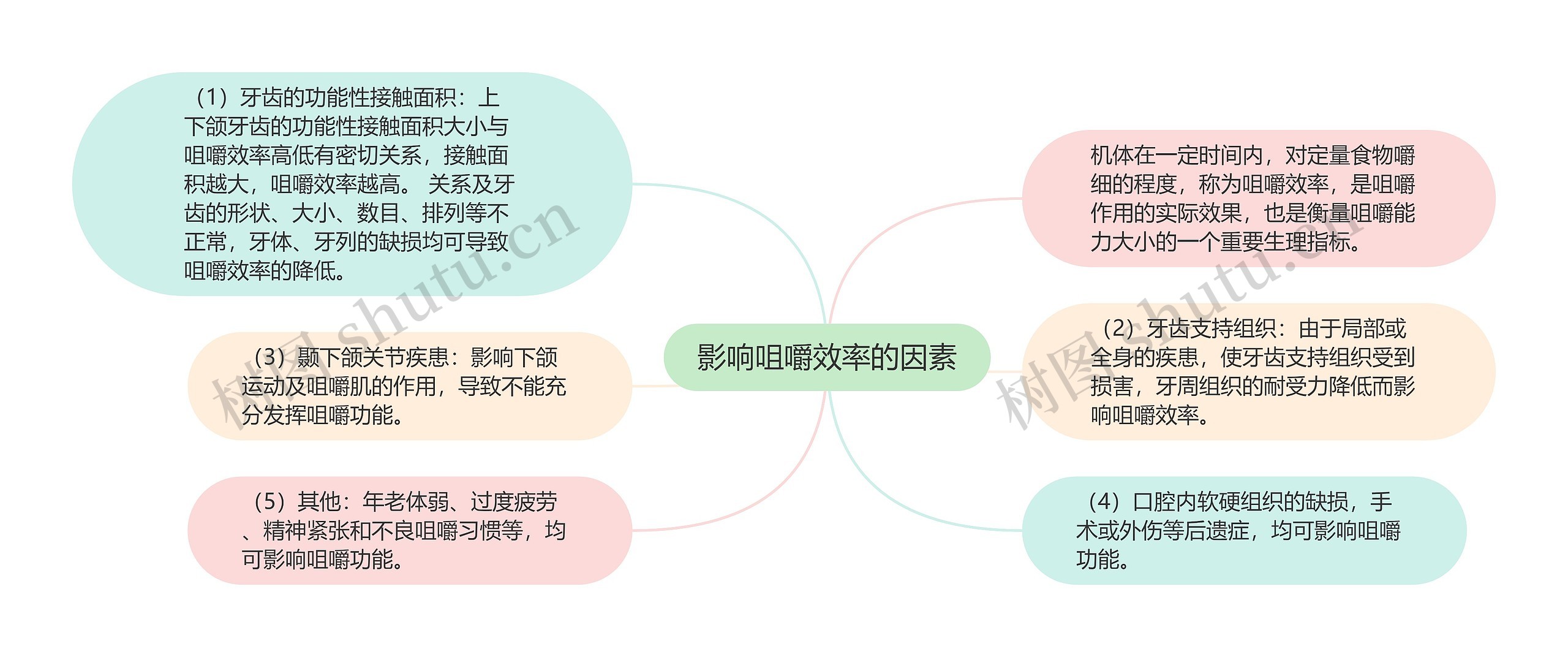 影响咀嚼效率的因素思维导图